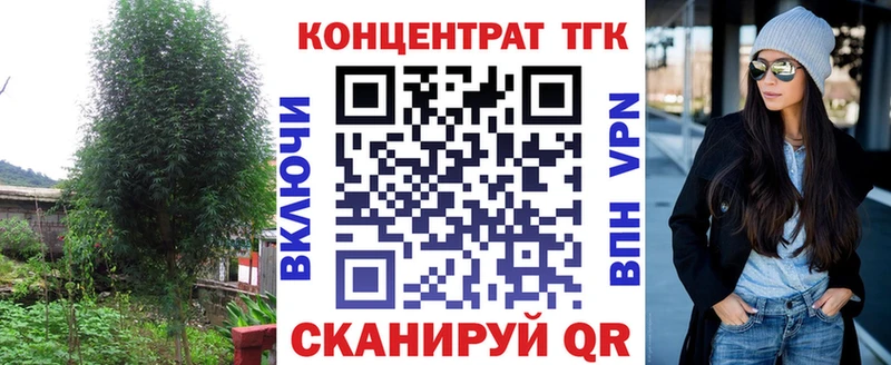 ТГК Wax  Каргат 