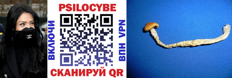 Псилоцибиновые грибы Magic Shrooms  Каргат 