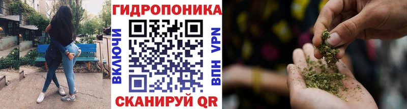 даркнет сайт  блэк спрут как войти  Канабис VHQ  Каргат 